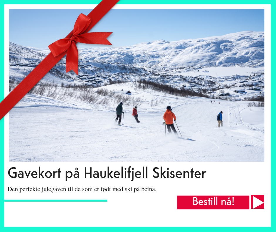 julegavetips Haukelifjell skisenter