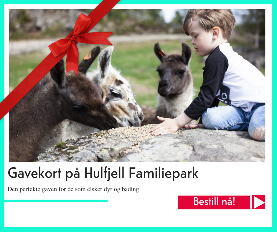 julegavetips Hulfjell familiepark