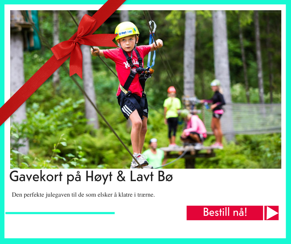 julegavetips Høyt og Lavt