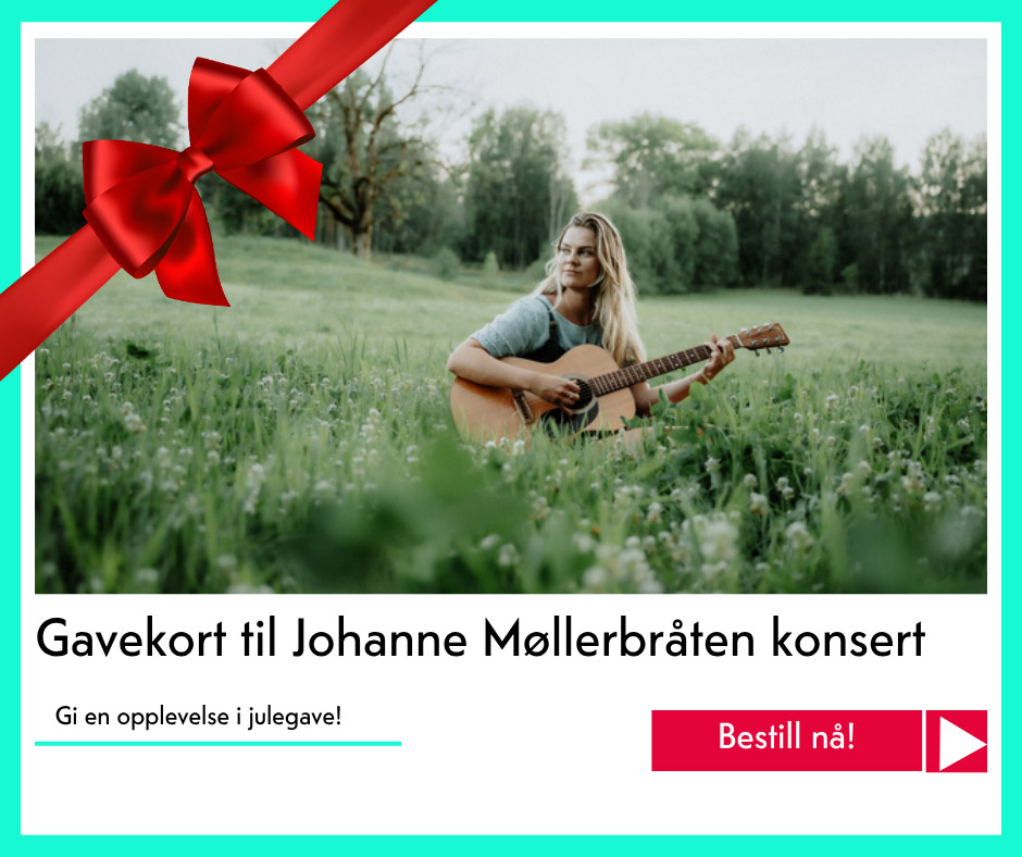 julegavetips Horg Kulturhus