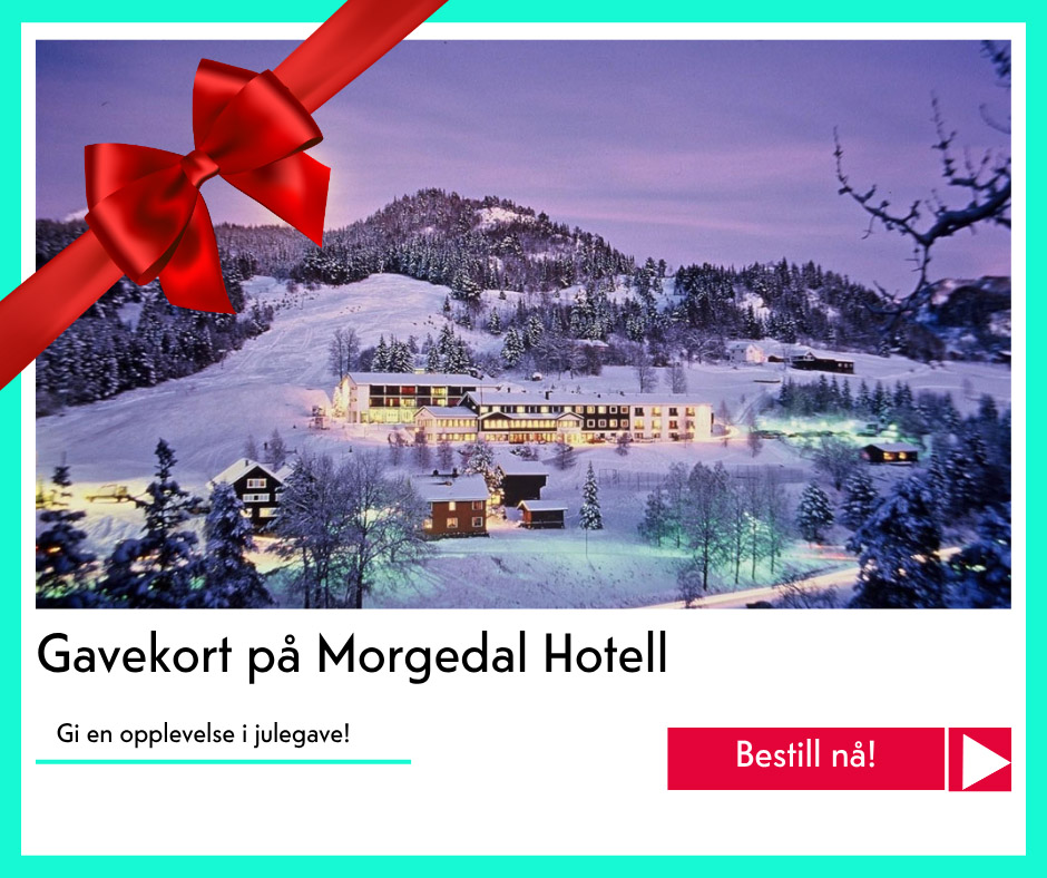julegavetips Morgedal Hotell