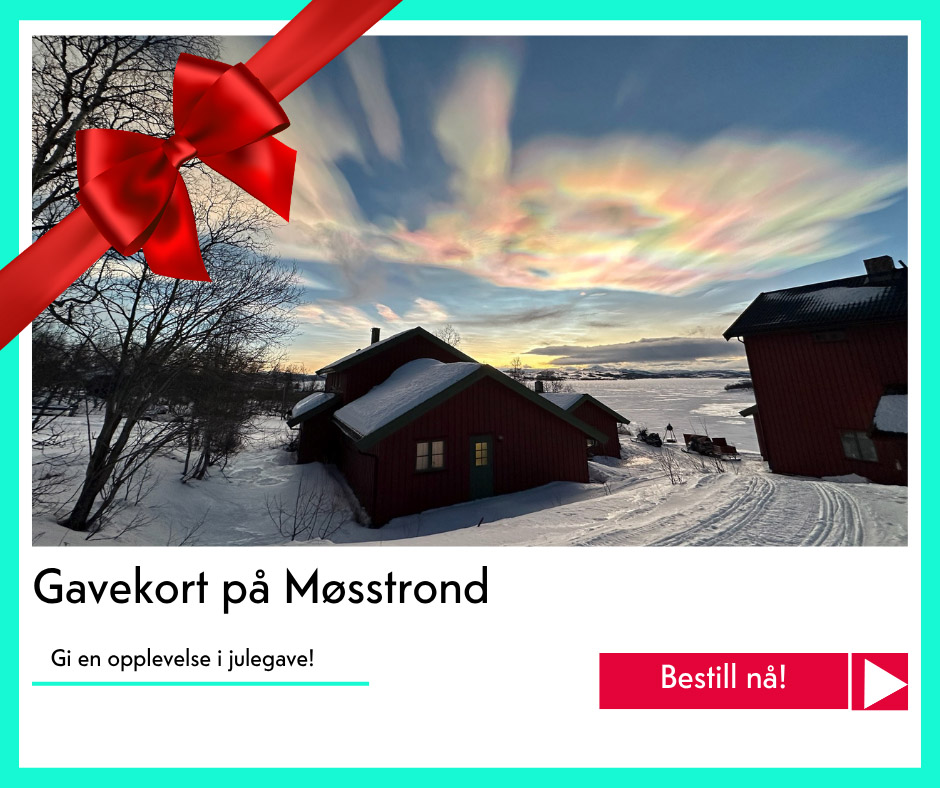 julegavetips Møsstrond