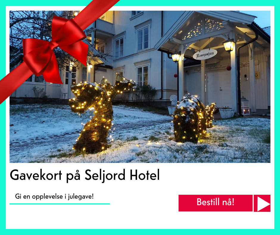julegavetips Seljord Hotel