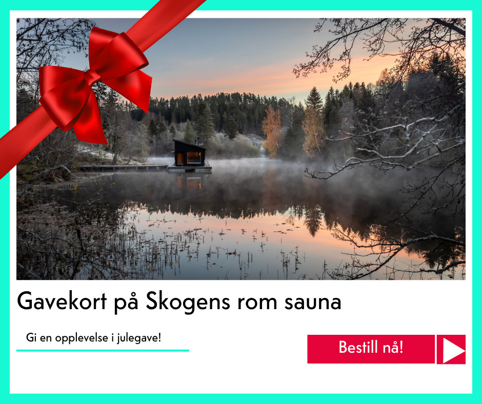 julegavetips Skogens rom