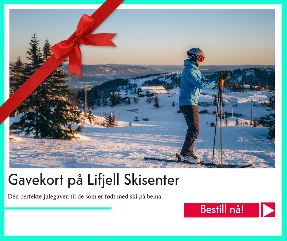 julegavetips Lifjell Skisenter