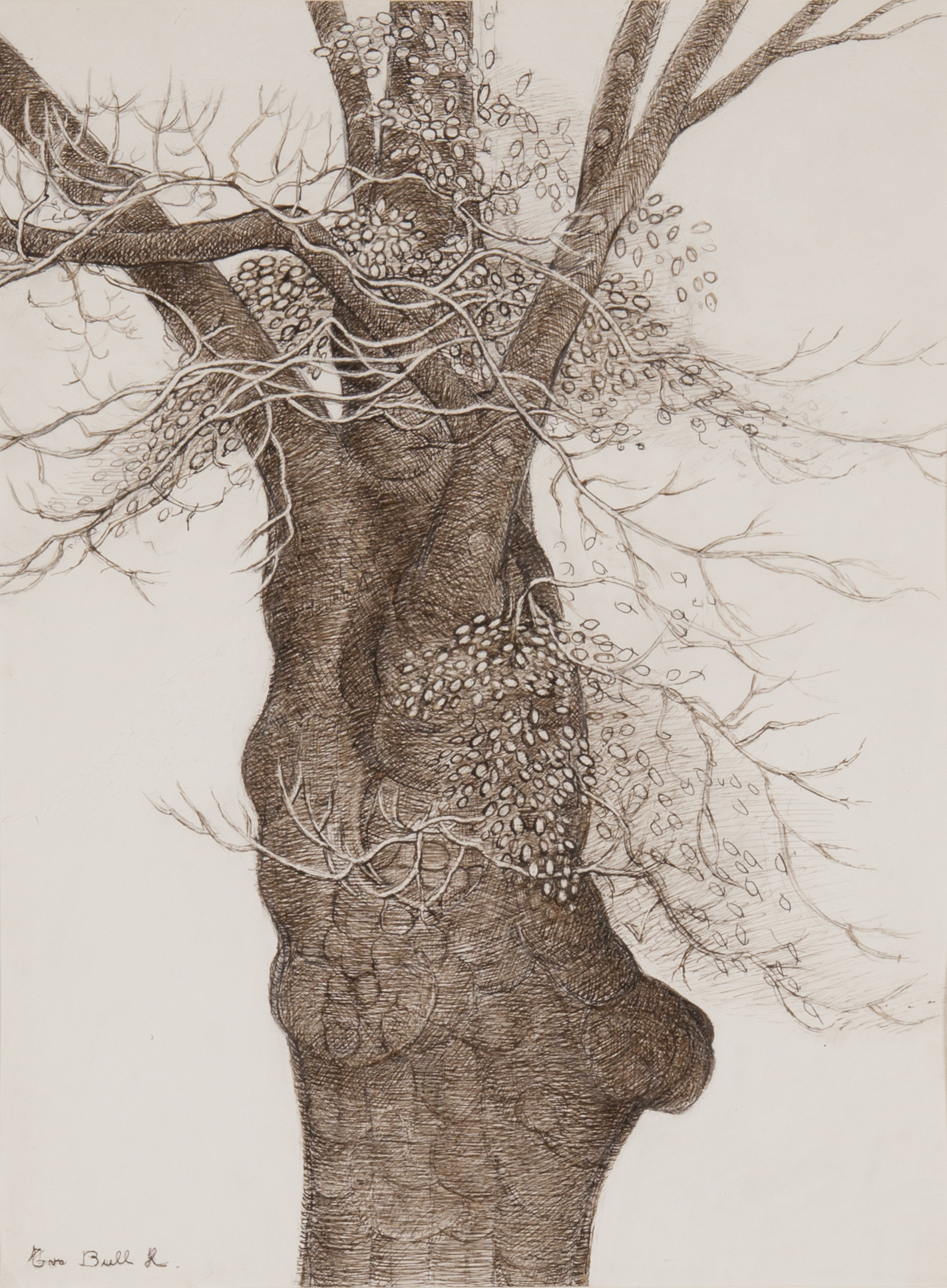 Portrettavenvenn_ca1986_47x35