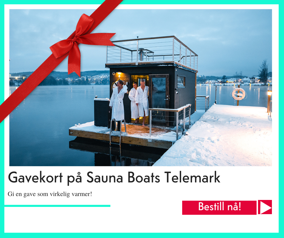 julegavetips Sauna Boats