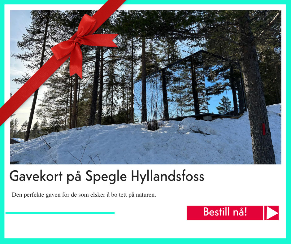 julegavetips Spegle Hyllandsfoss