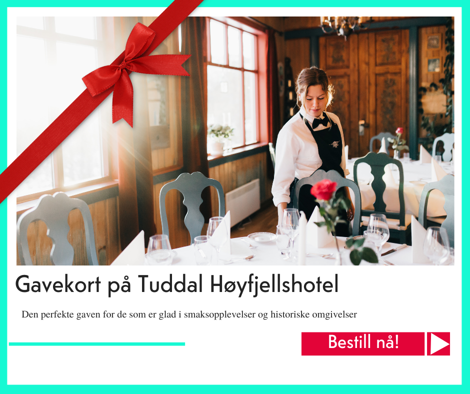julegavetips Tuddal Høyfjellshotel