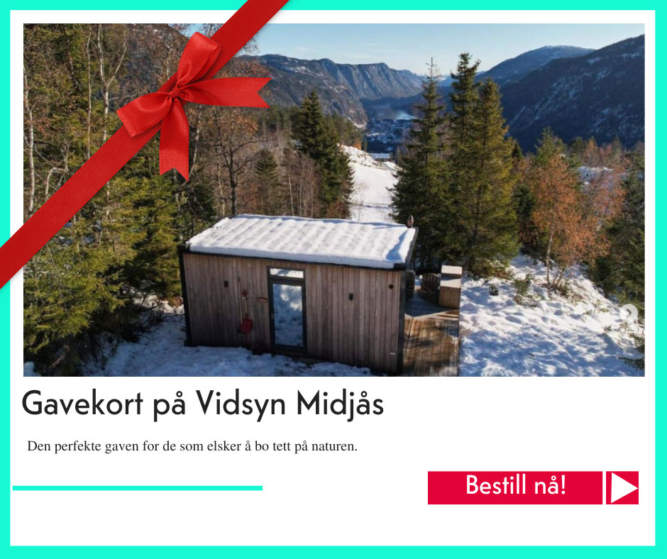 julegavetips på Vidsyn