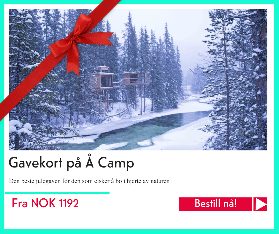 julegavetips Å Camp