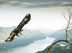 Thumbnail for Kunst i Telemark
