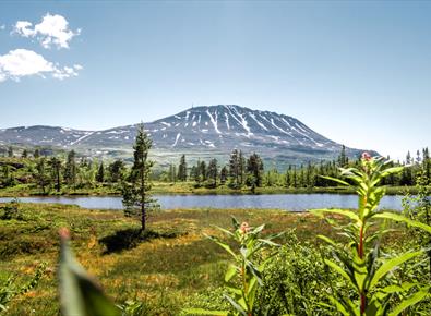 Toppturer i Telemark - VandreTelemark.no