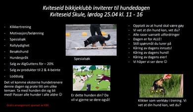 Hundedagen