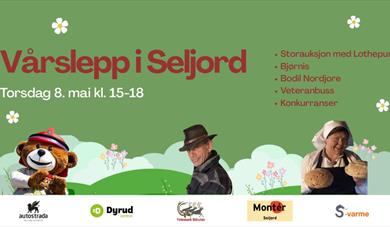 Vårslepp i Seljord 8. mai