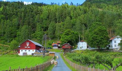 Bjørge Besøksgard