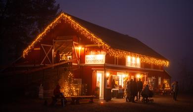 Førjulsmarked og julegrantenning på HegnaLand