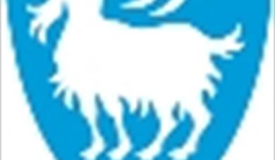 Adventskonsert i Rauland kyrkje