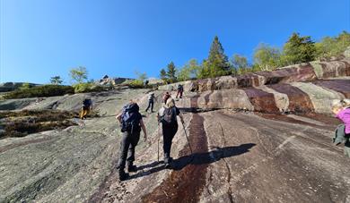 På veg til Bindalsfjell