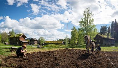 Museumsbonden i Eidsborg