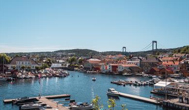 Brevik havn. Sol, blått vann og båtliv