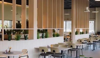 beige og brune stoler og bord, blomster