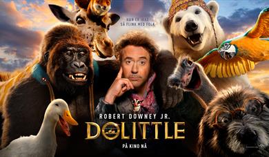 Dolittle