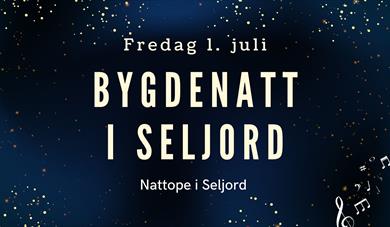 Bygdenatt i Seljord