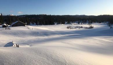 Kjos i Åmotsdal
