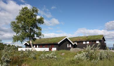 Lifjellstua
