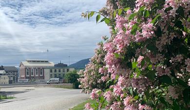 Vi finner blant annet Lysbueovnen i Hydroparken.