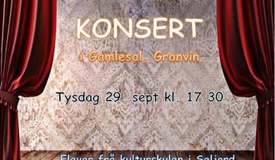 Akustisk konsert