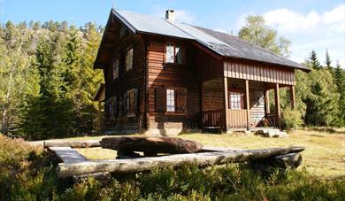 Fjellgård Rolleivstad