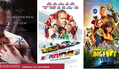 Kino på Granvin