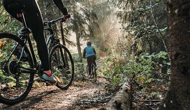 mountain bike trail in "Skien fritidspark" Skien leisure park 