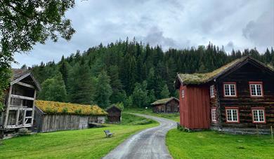 «Hyllest til livet» av Teater i hagen