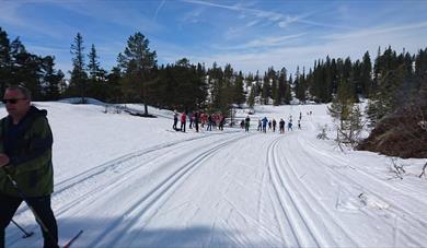 Fyrålåmi 2022