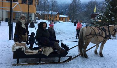 Jolegrantenning med jolemarknad på Dalen
