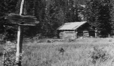 Skogvandring til krossen på Berglandsheia