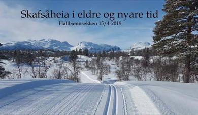 Skafsåheia i eldre og nyare tid