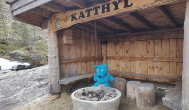 lete etter gull med Barnasturlag