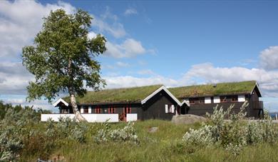 Lifjellstua