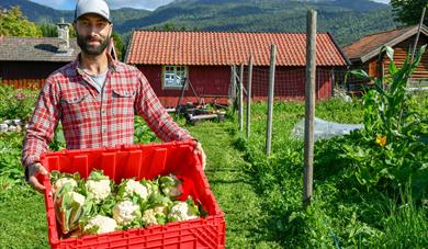 mann med blomkål fra Den grønne nabo