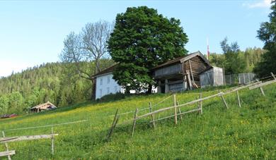 Tjønnås Økogard