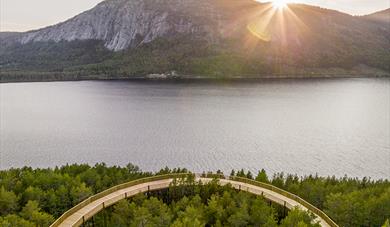 Utsikten fra Tretoppveien på Hamaren.