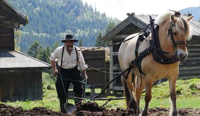 museumsbonden i Eidsborg