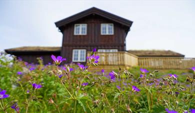 hytte på Rauland feriesenter om sommeren