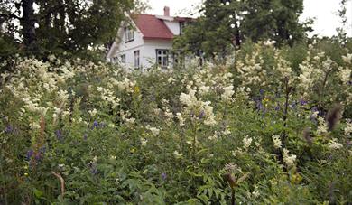 Overnatting på Arøyaskolen