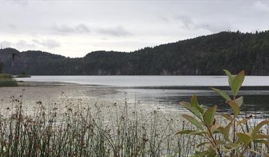 Stokkevannet badeplass