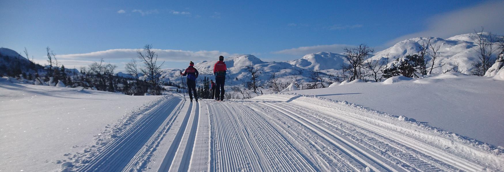 2 personer på langrenn i Dalen